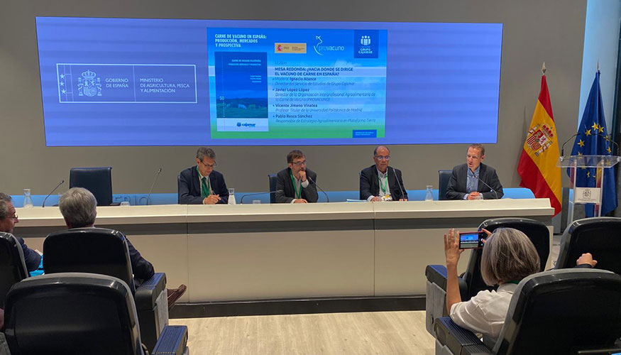Mesa redonda sobre el futuro del sector