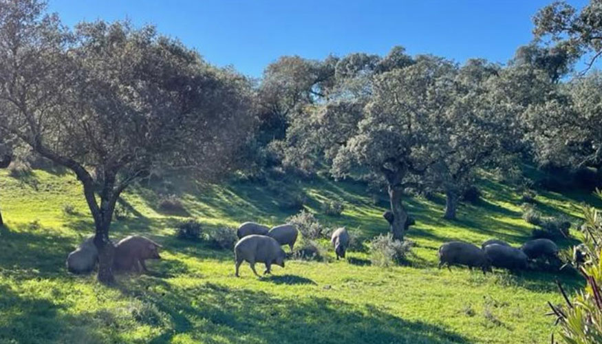 Foto de Ovipor cierra 2025 con 26,4 millones de facturaci�n y un 12% de crecimiento anual