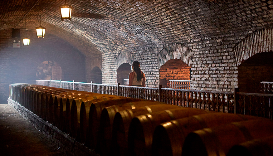 Bodega Concha y Toro