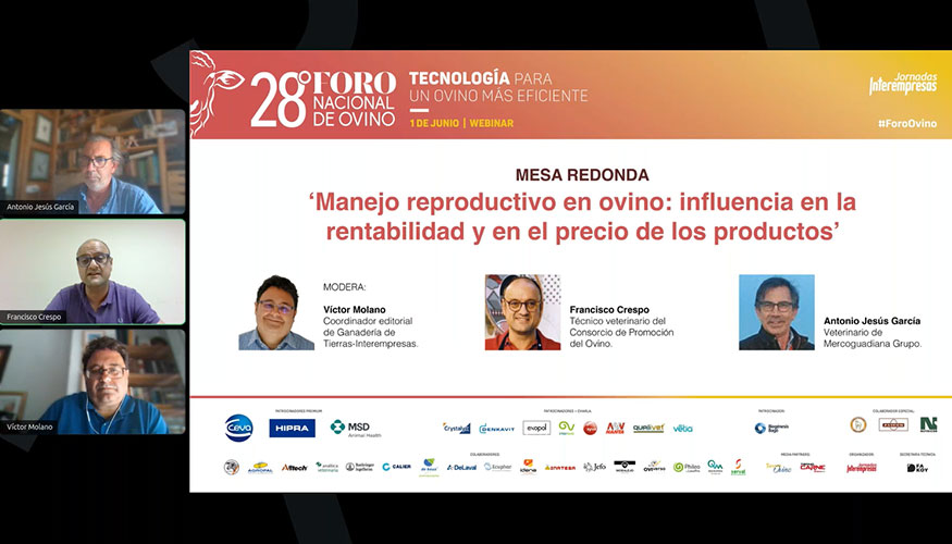 Un instante de la mesa de manejo reproductivo durante el webinar de inauguraci�n del Foro Ovino