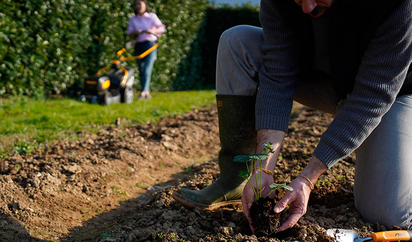 El 72% de los propietarios de jard�n en Espa�a afirma que cultivar frutas y verduras les hace felices, seg�n el estudio Gardens of Europe 2026...