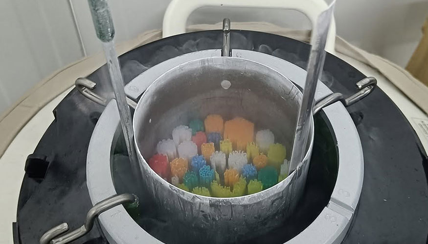 Cubeta con dosis de semen