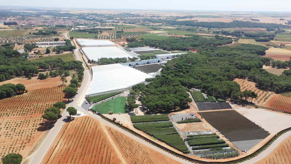 Agr�ptimum cerr� 2024 con una facturaci�n de 20 millones de euros...