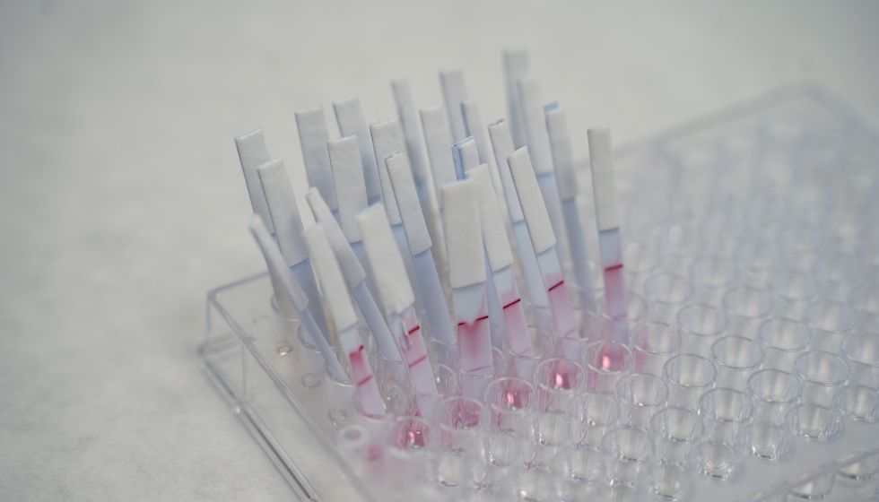 El proyecto AGROSENS ha permitido desarrollar tiras de flujo lateral capaces de detectar Salmonella spp...