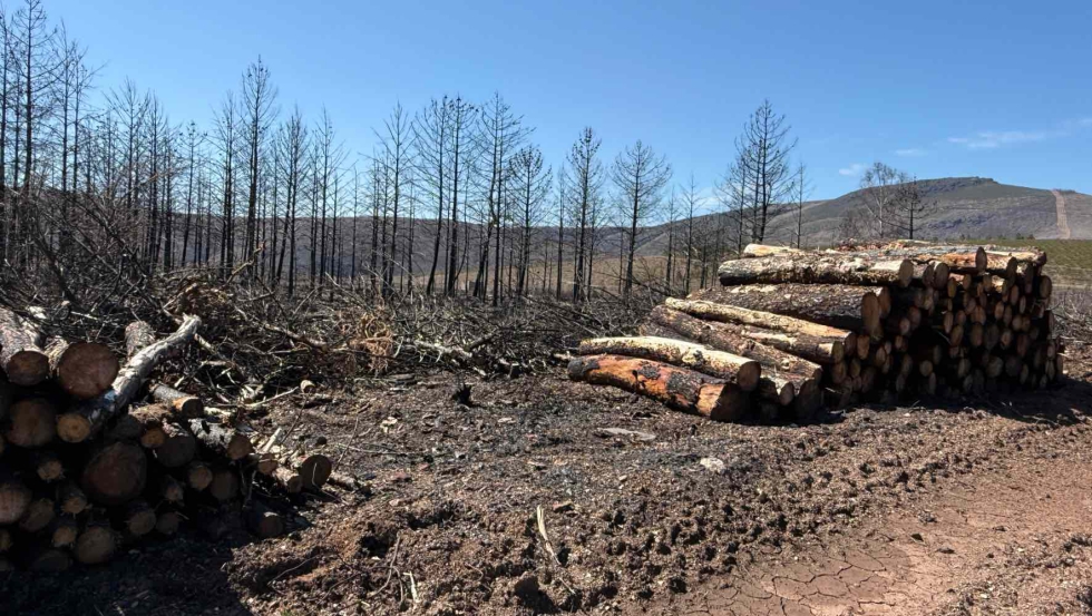 Uno de los incendios declarados el a�o pasado en Galicia