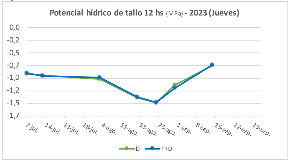 Figuras 4 a 6. Potencial h�drico de tallo (MPa) a las 12 hs en jueves, en 2021-2023. Sig. *p<0,05