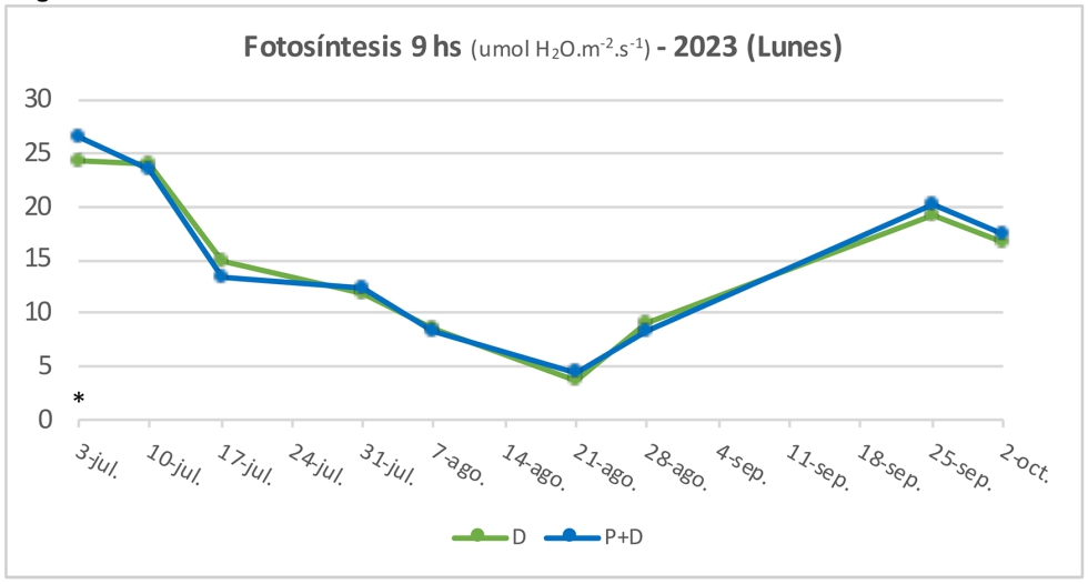 Figuras 7 a 9. Fotos�ntesis (umol CO2.m-2.s-1) a las 9 hs en lunes, en 2021-2023. Sig. *p<0,05