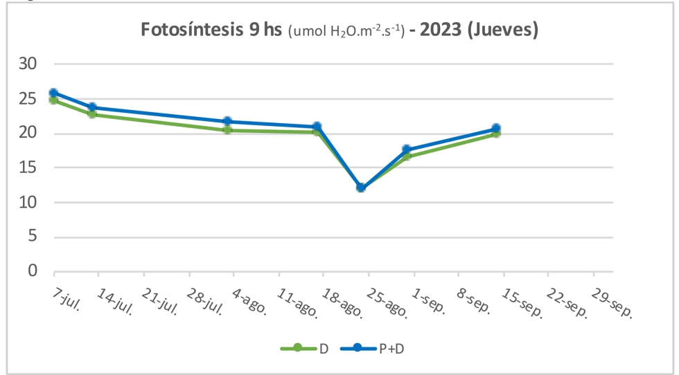 Figuras 10 a 12. Fotos�ntesis (umol CO2.m-2.s-1) a las 9 hs en jueves, en 2021-2023. Sig. *p<0,05