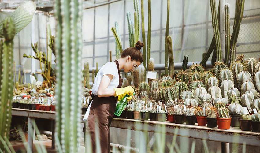 Las ventas al exterior de flor y planta viva mantienen su impulso en 2026...