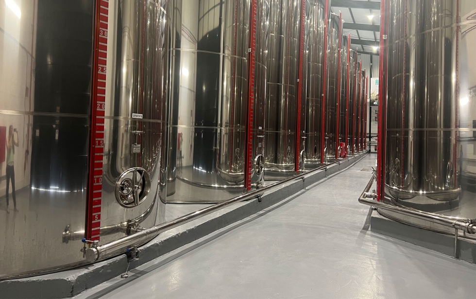 Bodega de Conde Benal�a en Benal�a de las Villas
