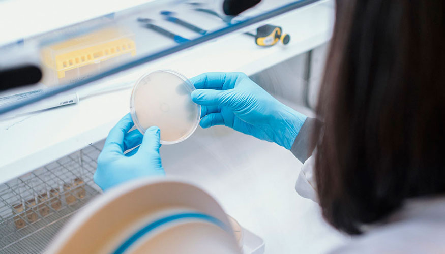 Trabajo de laboratorio desarrollado en AZTI
