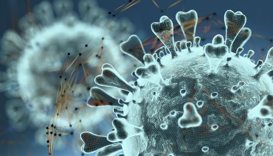 Recreaci�n del virus de la gripe aviar