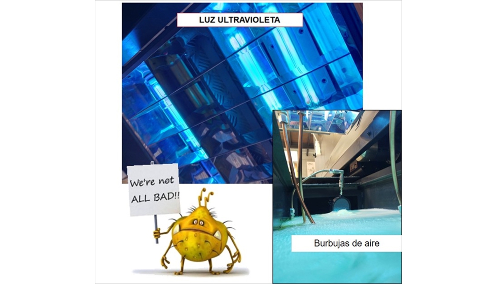 Figura 3. Luz ultravioleta y burbujas de aire para tratamiento de taladrinas