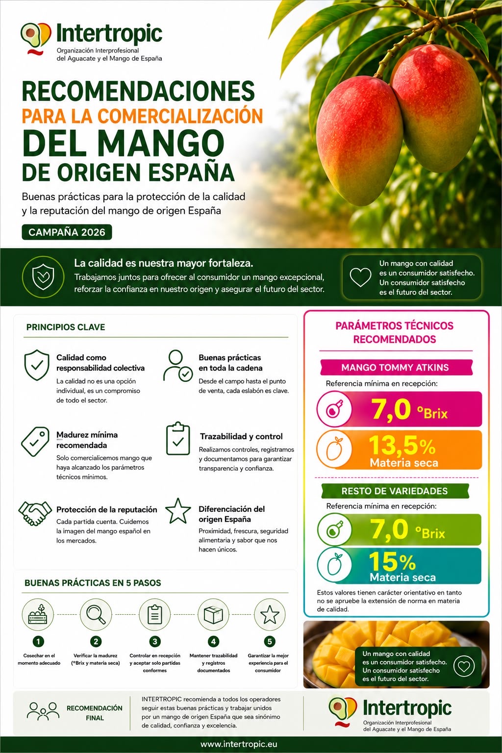 Recomendaciones para la Comercializaci�n del Mango de Origen Espa�a que ha lanzado Intertropic