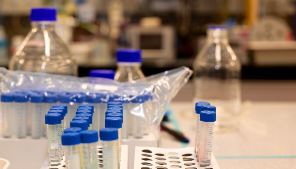 El Reglamento (UE) 2025/40 introduce nuevos requisitos para todos los envases comercializados en la Uni�n Europea...