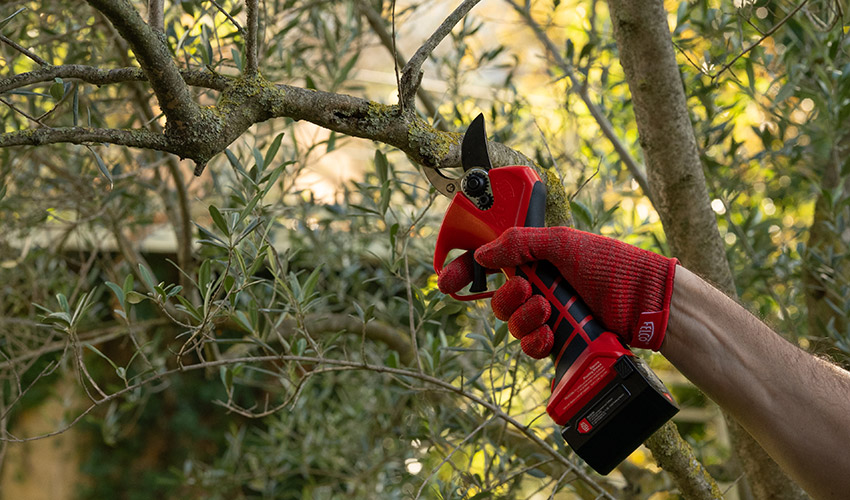 FELCO mostrar� en Iberflora 2026 la evoluci�n el�ctrica de su emblem�tica FELCO 2...