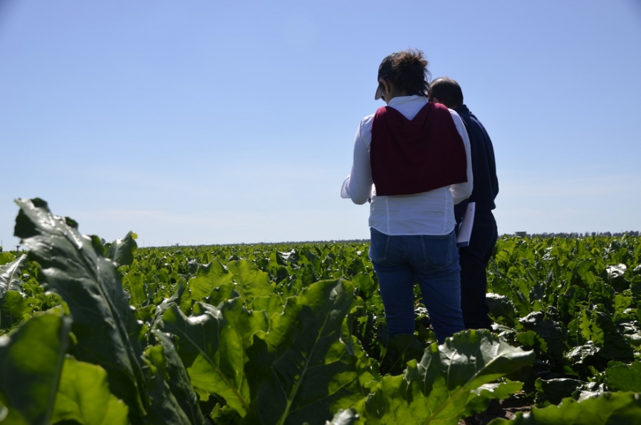 Castilla y Le�n abon� durante junio m�s de 947.000 euros a 72 beneficiarios de la ayuda de cooperaci�n para la sucesi�n de explotaciones agrarias...