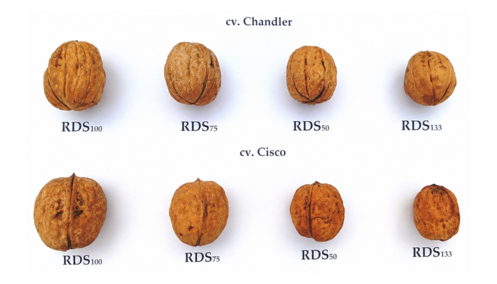 Figura 3. Morfolog�a de las nueces para las dos variedades y dosis de riego...