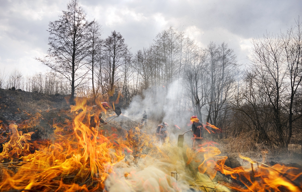 La falta de rentabilidad y el escaso apoyo al primario incrementan el riesgo de incendios