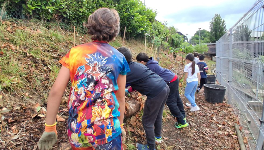 Los bosques comestibles de BasoJan se desarrollan siguiendo los principios de la agricultura sintr�pica que favorece la regeneraci�n acelerada de los...