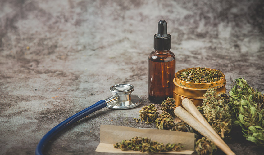 La implantaci�n del cannabis medicinal depender� de la capacitaci�n de los profesionales sanitarios...