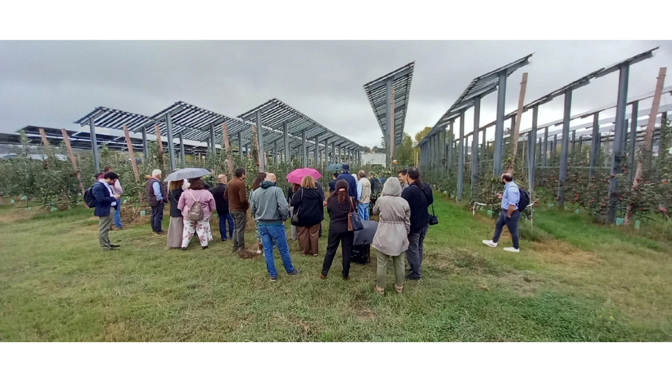 Pilotos do projeto PRR FruiPV, para a produ��o de energia com recurso a pain�is agrovoltaicos