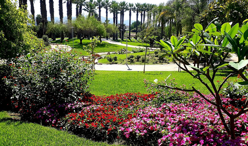 Motril se incorpora al programa Andaluc�a en Flor para impulsar la mejora de sus zonas verdes y avanzar hacia un modelo de ciudad m�s sostenible...