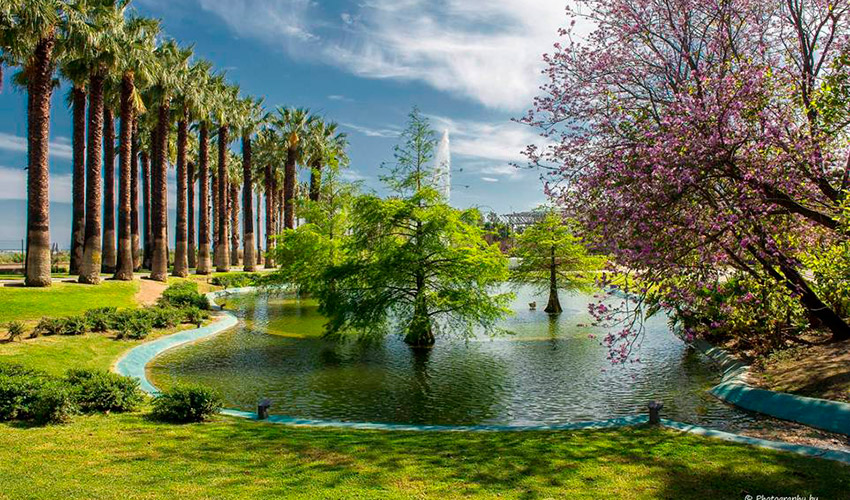 Parque Am�rica