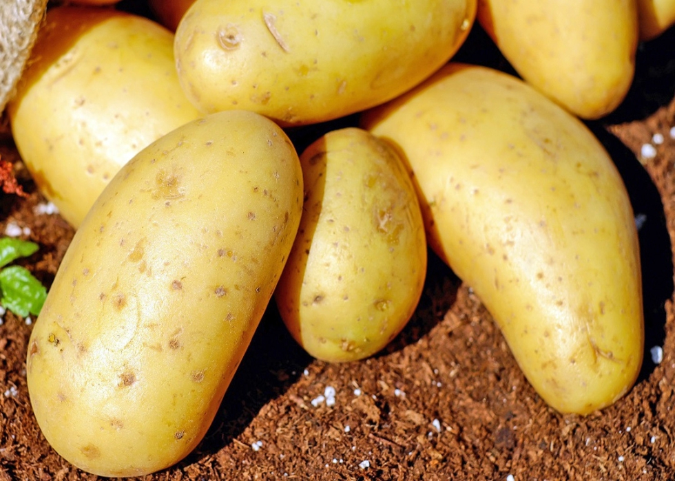 Castilla y Le�n comienza a recoger las primeras patatas de la campa�a de media estaci�n