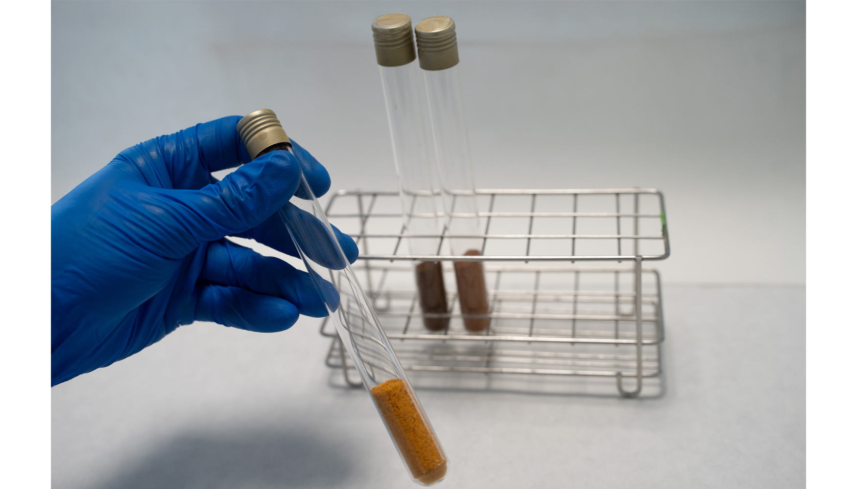 Muestras de subproductos agroalimentarios acondicionadas para su caracterizaci�n anal�tica durante el desarrollo del proyecto Impulso...