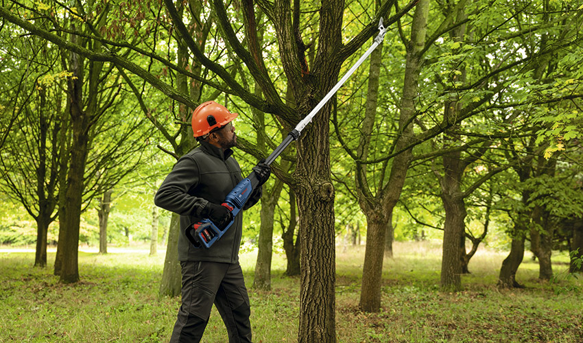La gama de poda a bater�a de Bosch Professional est� dise�ada para cubrir diferentes aplicaciones...