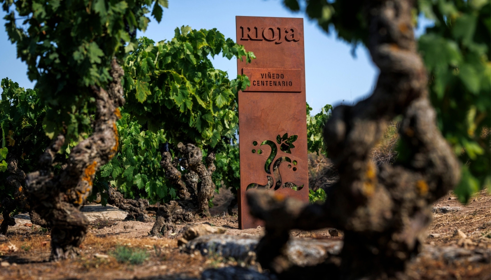 Los Vi�edos Viejos y Centenarios de Rioja ofrecen uvas de extraordinaria complejidad y equilibrio