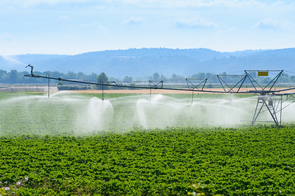 El Consejo de Ministros da luz verde a tres actuaciones que modernizar�n 8.816 hect�reas de cultivo y beneficiar�n a 1.672 regantes...