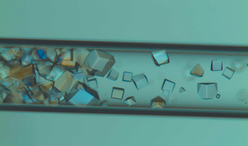 Cristales crecidos en capilares por el m�todo CDD