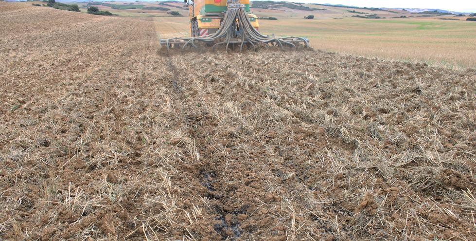 El nivel de endeudamiento del sector agrario se sit�a en 19.867 millones de euros, cifra que equivale al 49,9% de su valor a�adido bruto (VAB)...