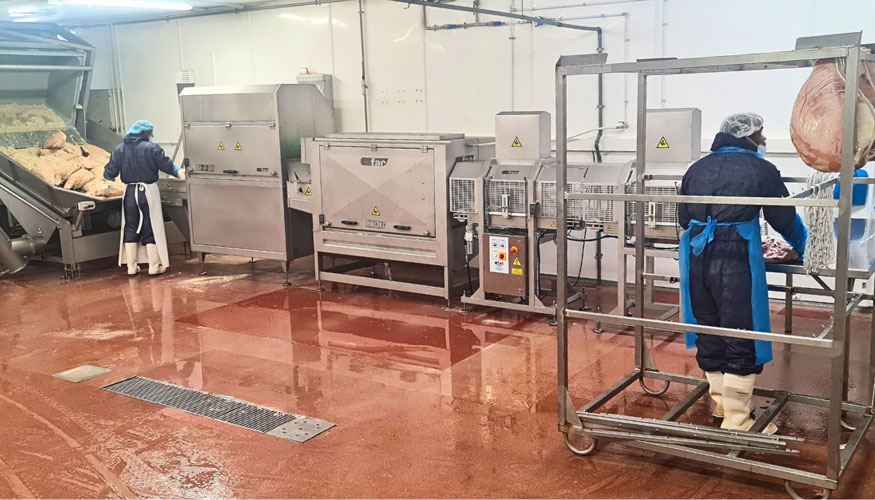 L�nea de post-salado ya instalada en planta