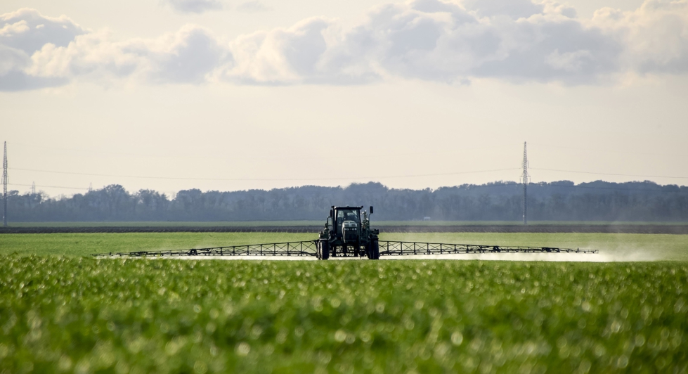 El precio m�s econ�mico se encuentra en las gasolineras de las cooperativas agrarias de �vila (1,135 �/l)