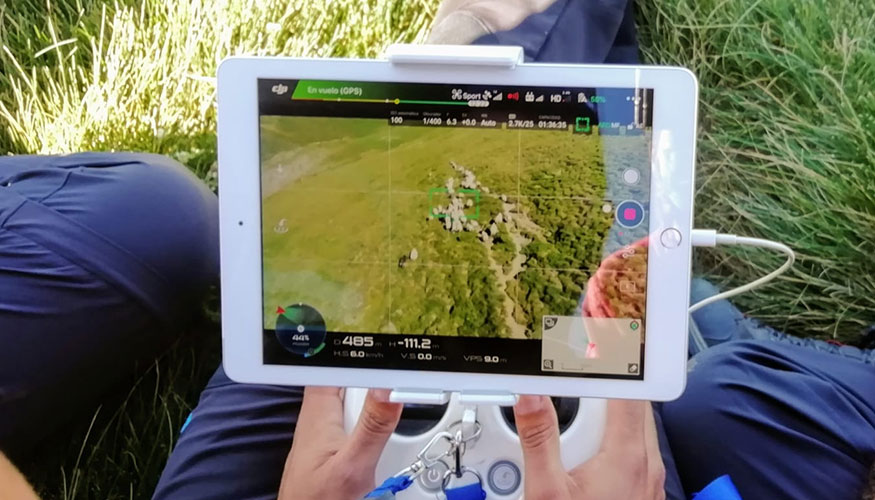 Uso de un dron para el pastoreo de un reba�o