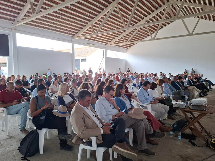 Dia de Campo InovMilho na Esta��o Experimental Ant�nio Teixeira (INIAV), em setembro de 2025