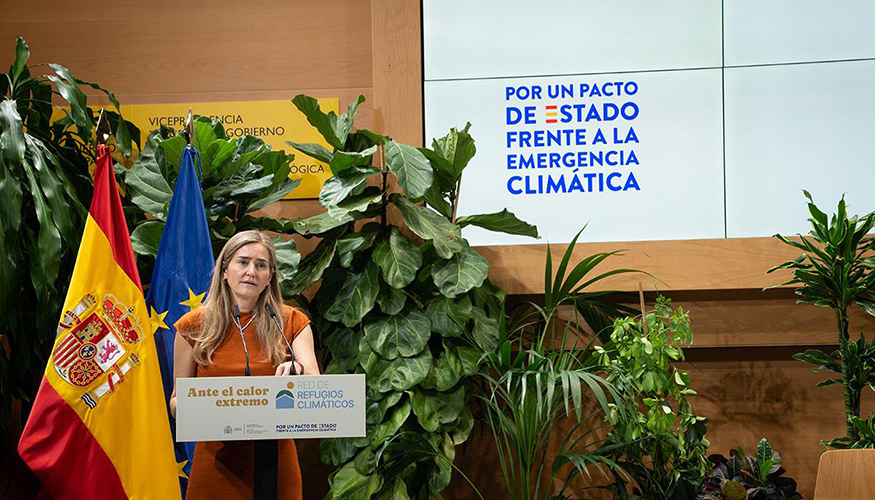 La vicepresidenta y ministra para la Transici�n Ecol�gica y el Reto Demogr�fico, Sara Aagesen, durante su intervenci�n