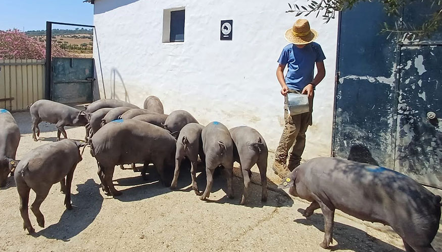 Tercera generaci�n en la ganader�a de Juana �lvarez, en la localidad gaditana de Tarifa