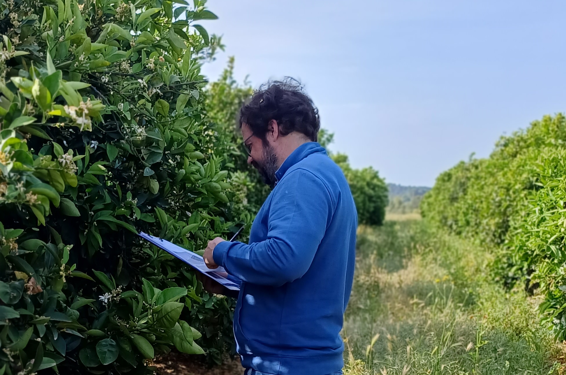 Imagen de una inspecci�n en campo