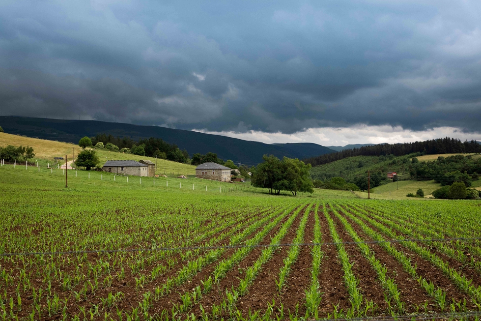 Parcela agr�cola en el Principado de Asturias