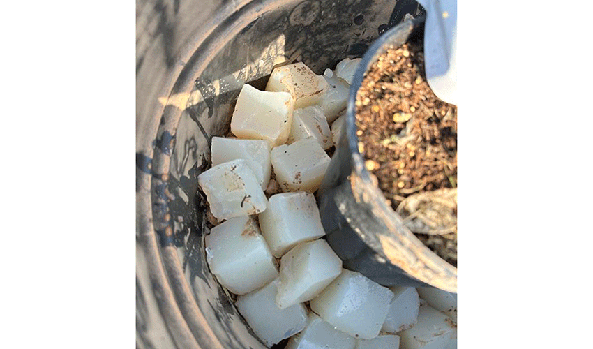 La soluci�n biodegradable puede aplicarse en macetas, terrazas, balcones...
