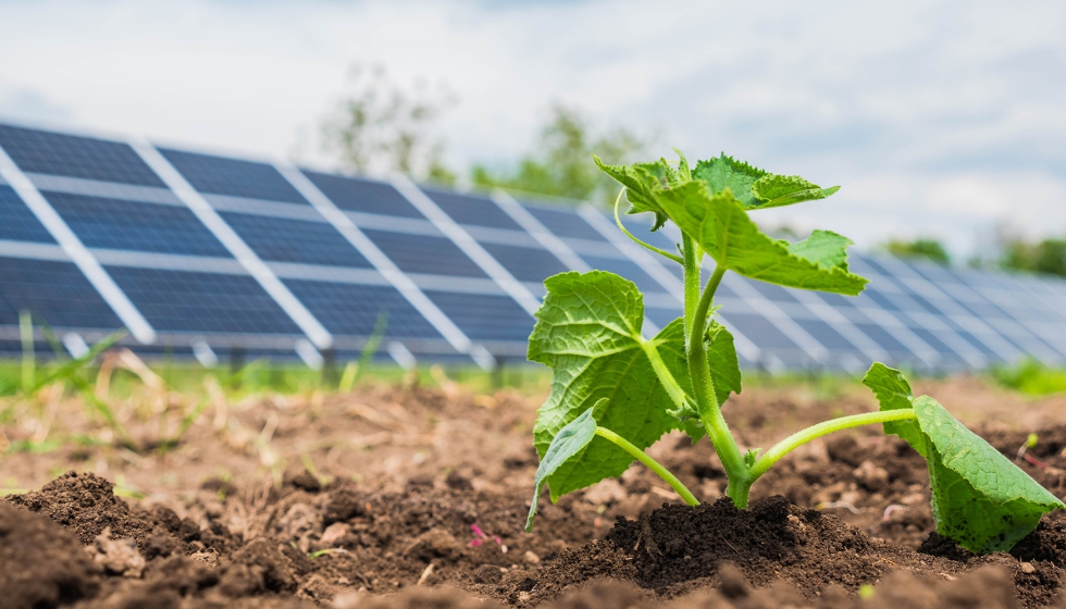 La agrivoltaica est� adquiriendo un papel cada vez m�s relevante como soluci�n para compatibilizar la producci�n agr�cola con la generaci�n de...