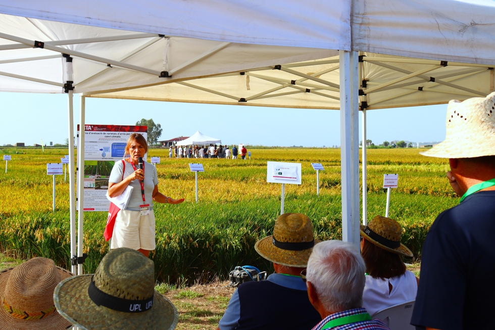 La innovaci�n para adaptar el cultivo al cambio clim�tico centr� la XXIX Jornada de campo del arroz del IRTA en Amposta