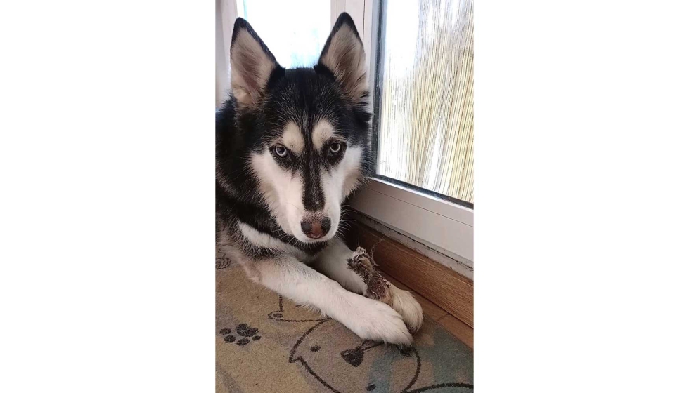 Nancy disfrutando de una oreja de conejo