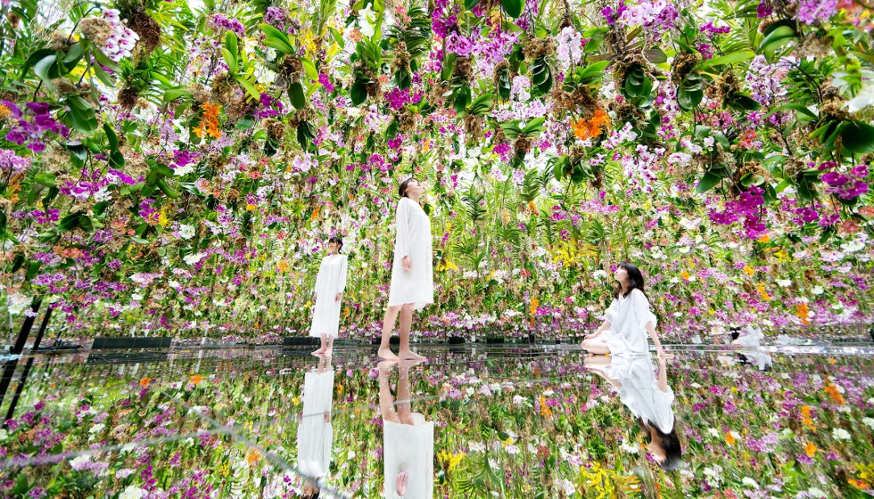 El jard�n floral de teamLab Planets TOKYO es uno de los espacios m�s populares y un buen ejemplo de c�mo la tecnolog�a y la naturaleza se integran en...