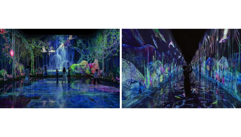 �Catching and Collecting Forest� es una pieza art�stica que invita a los visitantes a participar en este �juego� interactivo...