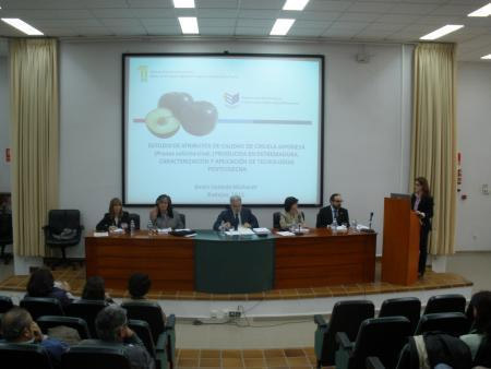 Presentacin de la tesis por parte de Beln Velardo en la sede del Intaex